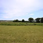 Seeschwalbe