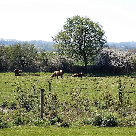 Seeschwalbe Дом отдыха *