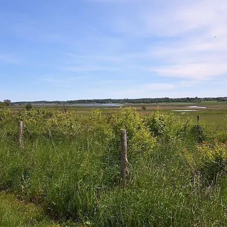 Seeschwalbe Semesterbostad