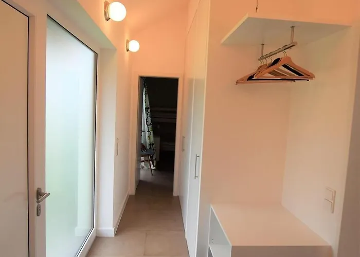 Seeschwalbe Hohwacht