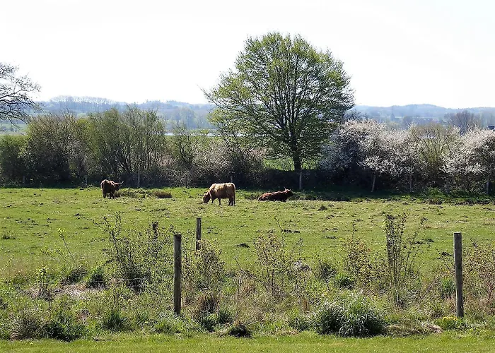 Seeschwalbe Vakantiehuis *