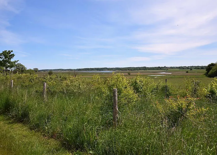 Seeschwalbe Vakantiehuis